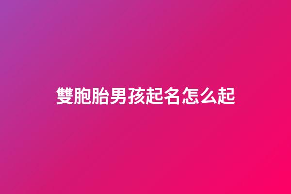 雙胞胎男孩起名怎么起(雙胞胎男孩起名雙胞胎男孩名字)-第1張-男孩起名-玄機派
