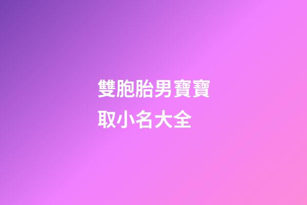 雙胞胎男寶寶取小名大全(雙胞胎男孩小名字大全2023)-第1張-男孩起名-玄機派