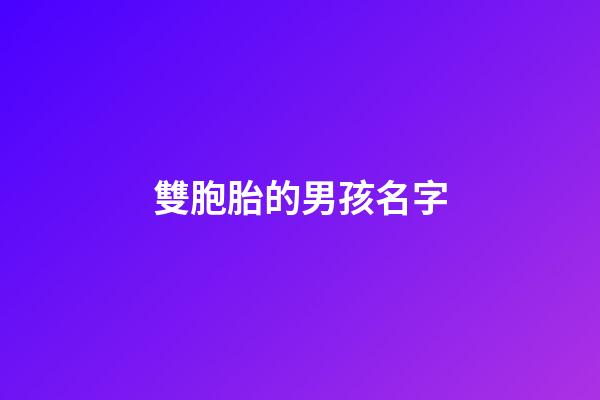 雙胞胎的男孩名字(雙胞胎男孩名字集錦)-第1張-男孩起名-玄機派