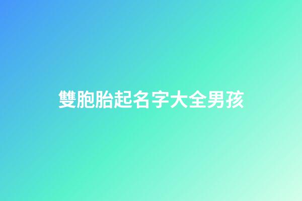 雙胞胎起名字大全男孩(雙胞胎名字是一對成語)-第1張-男孩起名-玄機派