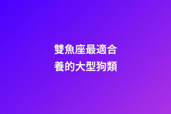 雙魚座最適合養的大型狗類-第1張-星座運勢-玄機派