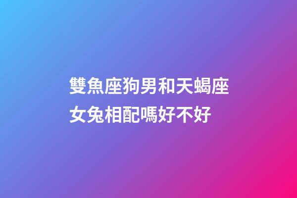 雙魚座狗男和天蝎座女兔相配嗎好不好-第1張-星座運勢-玄機派