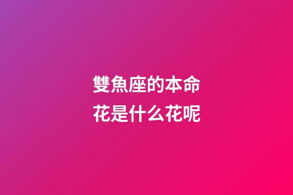 雙魚座的本命花是什么花呢