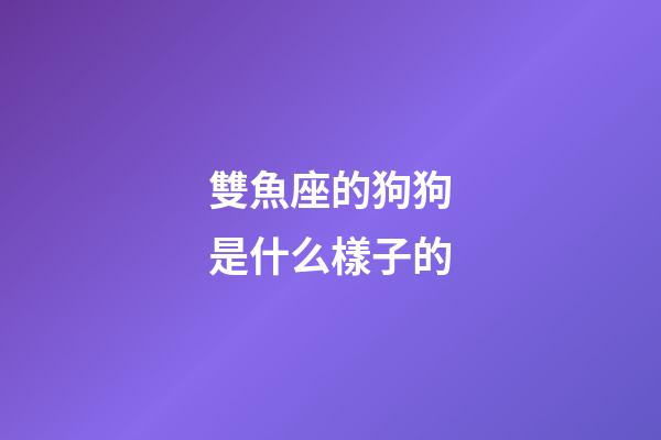 雙魚座的狗狗是什么樣子的-第1張-星座運(yùn)勢(shì)-玄機(jī)派