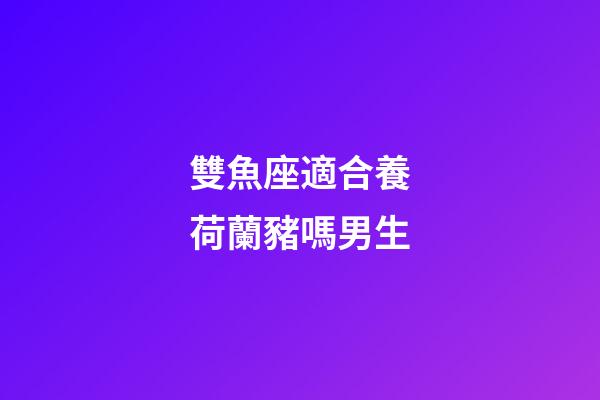 雙魚座適合養荷蘭豬嗎男生