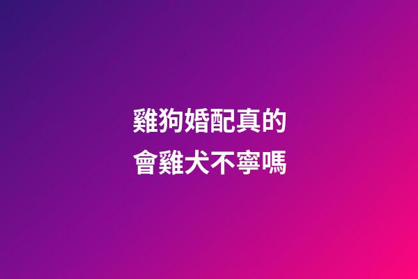 雞狗婚配真的會雞犬不寧嗎