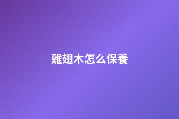 雞翅木怎么保養