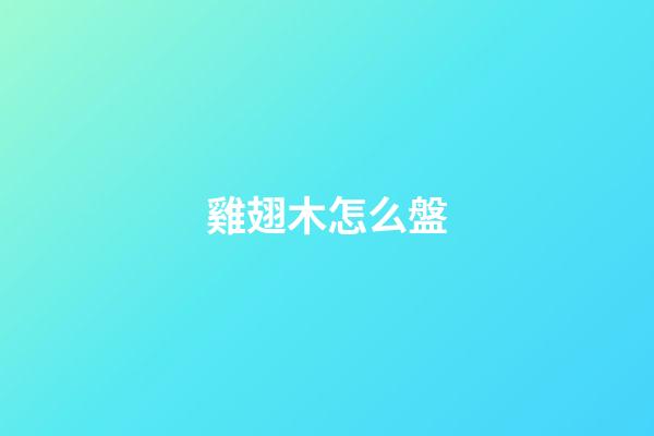 雞翅木怎么盤
