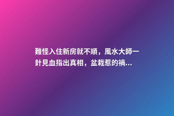 難怪入住新房就不順，風水大師一針見血指出真相，盆栽惹的禍！