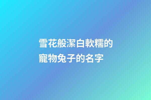 雪花般潔白軟糯的寵物兔子的名字