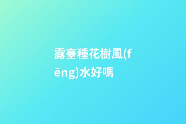 露臺種花樹風(fēng)水好嗎
