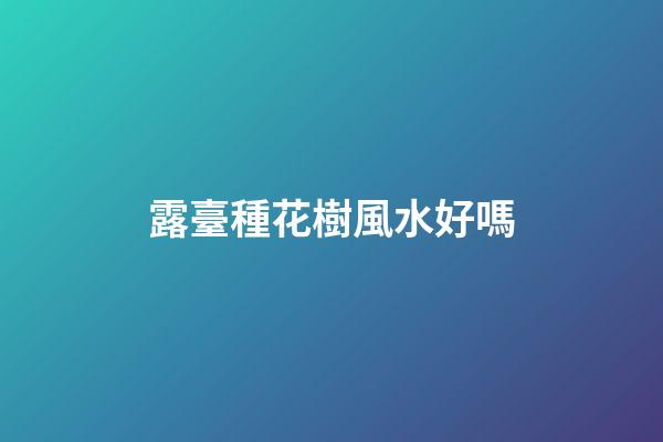 露臺種花樹風水好嗎