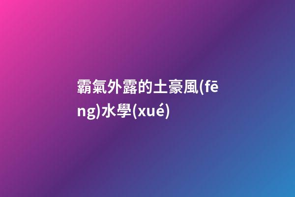 霸氣外露的土豪風(fēng)水學(xué)