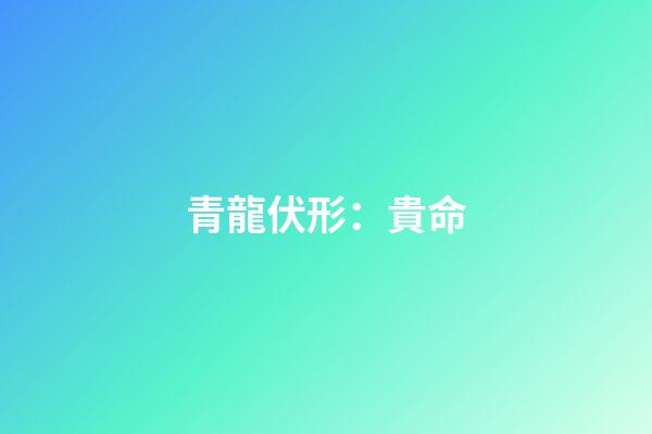 青龍伏形：貴命