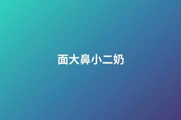 面大鼻小二奶