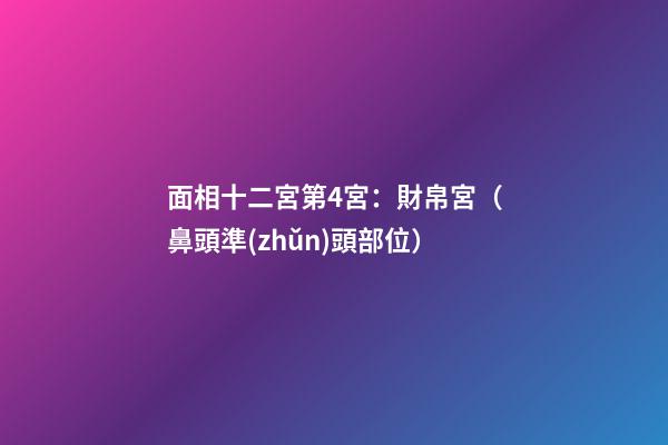 面相十二宮第4宮：財帛宮（鼻頭準(zhǔn)頭部位）