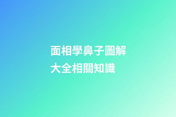 面相學鼻子圖解大全相關知識