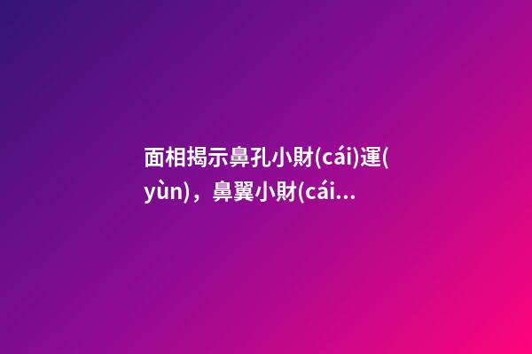 面相揭示鼻孔小財(cái)運(yùn)，鼻翼小財(cái)運(yùn)