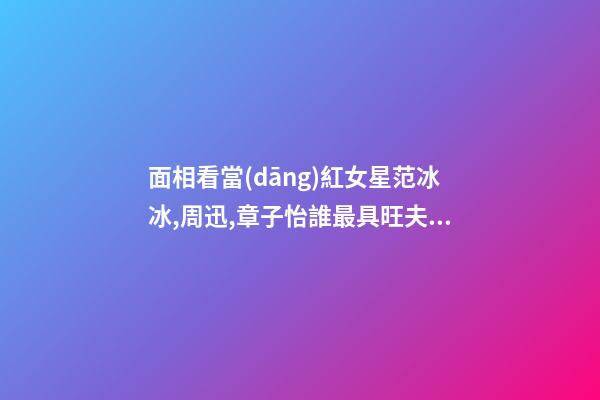 面相看當(dāng)紅女星范冰冰,周迅,章子怡誰最具旺夫運(yùn)
