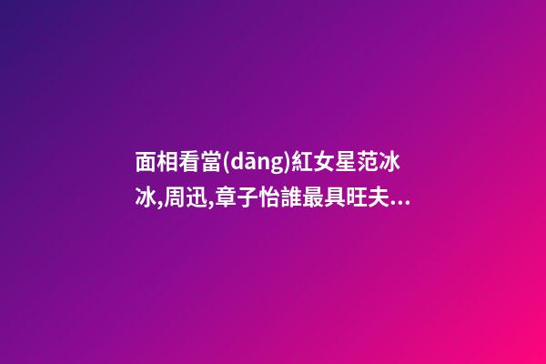 面相看當(dāng)紅女星范冰冰,周迅,章子怡誰最具旺夫運