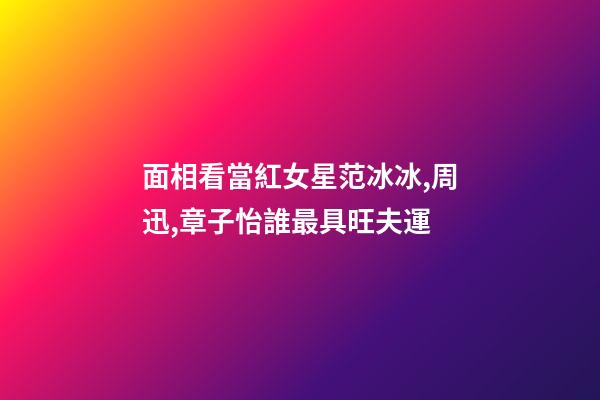 面相看當紅女星范冰冰,周迅,章子怡誰最具旺夫運