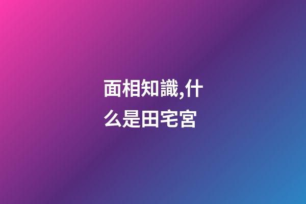 面相知識,什么是田宅宮