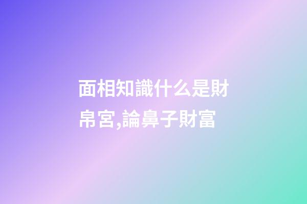 面相知識什么是財帛宮,論鼻子財富