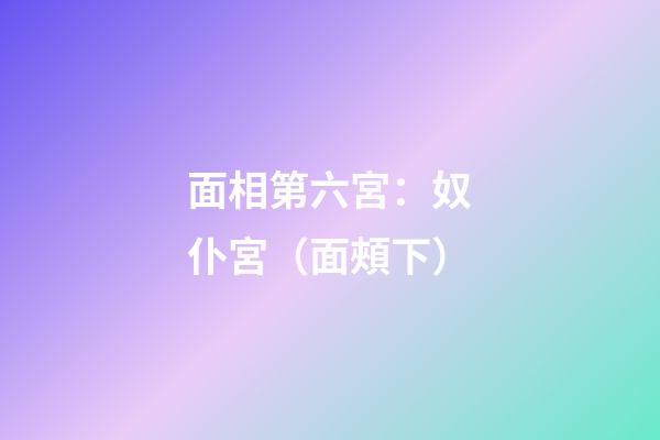 面相第六宮：奴仆宮（面頰下）