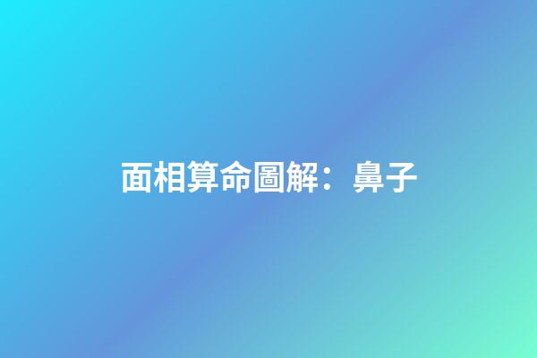 面相算命圖解：鼻子