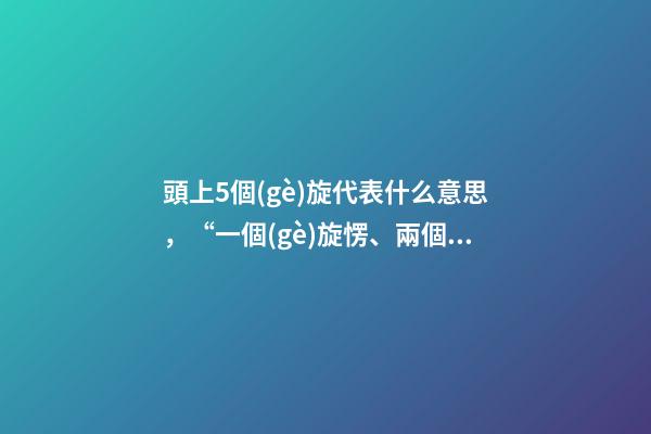 頭上5個(gè)旋代表什么意思，“一個(gè)旋愣、兩個(gè)旋橫、三個(gè)旋不要惹”-第1張-觀點(diǎn)-玄機(jī)派