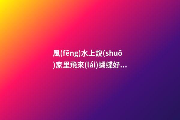 風(fēng)水上說(shuō)家里飛來(lái)蝴蝶好不好