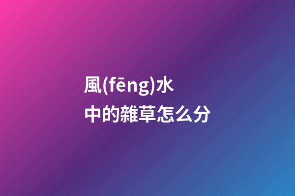 風(fēng)水中的雜草怎么分