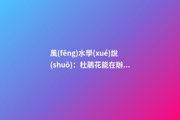 風(fēng)水學(xué)說(shuō)：杜鵑花能在辦公室養(yǎng)嗎？