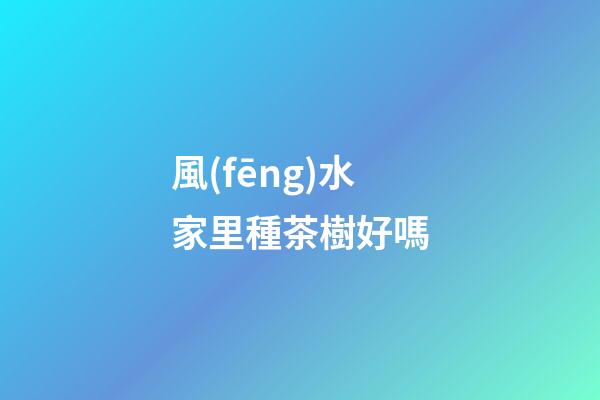 風(fēng)水家里種茶樹好嗎