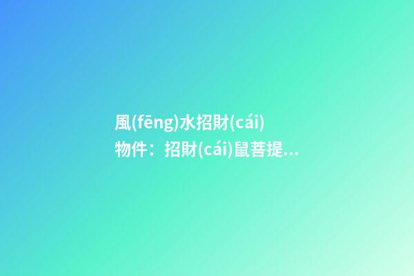 風(fēng)水招財(cái)物件：招財(cái)鼠菩提子怎么盤