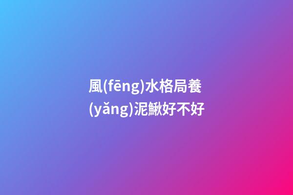 風(fēng)水格局養(yǎng)泥鰍好不好