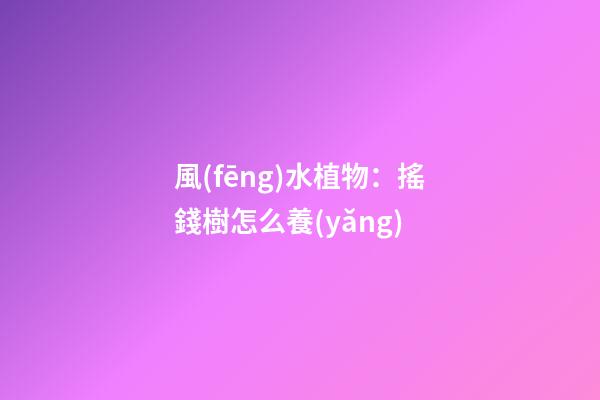 風(fēng)水植物：搖錢樹怎么養(yǎng)