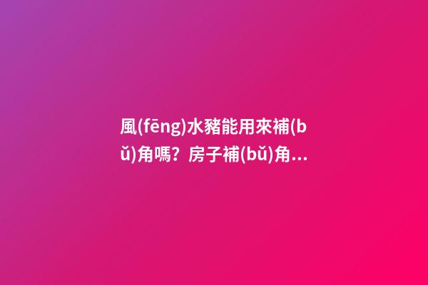 風(fēng)水豬能用來補(bǔ)角嗎？房子補(bǔ)角方法有哪些？