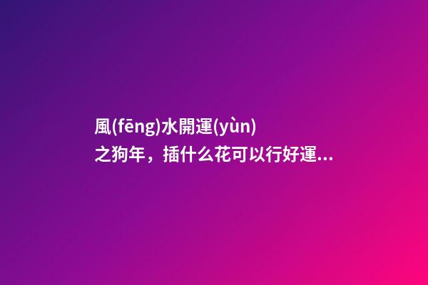 風(fēng)水開運(yùn)之狗年，插什么花可以行好運(yùn)？