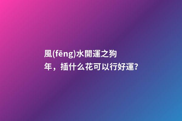 風(fēng)水開運之狗年，插什么花可以行好運？