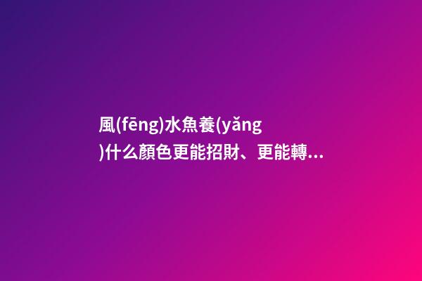 風(fēng)水魚養(yǎng)什么顏色更能招財、更能轉(zhuǎn)運(yùn)
