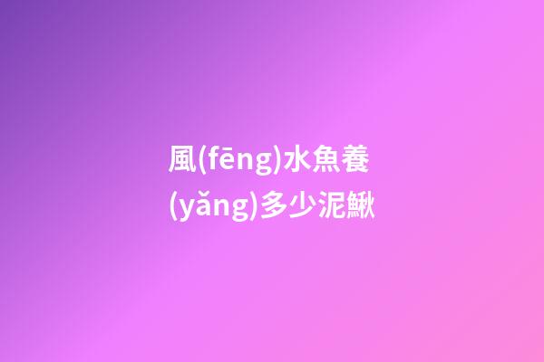 風(fēng)水魚養(yǎng)多少泥鰍