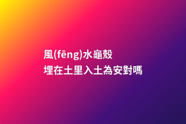 風(fēng)水龜殼埋在土里入土為安對嗎