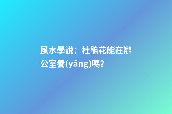 風水學說：杜鵑花能在辦公室養(yǎng)嗎？