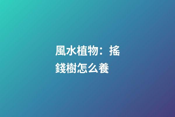 風水植物：搖錢樹怎么養