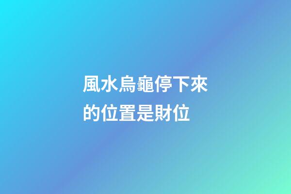 風水烏龜停下來的位置是財位