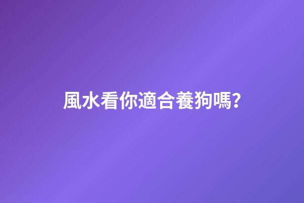 風水看你適合養狗嗎？
