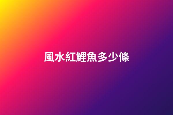 風水紅鯉魚多少條