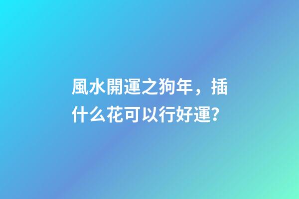 風水開運之狗年，插什么花可以行好運？