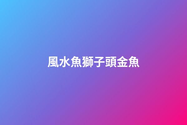 風水魚獅子頭金魚